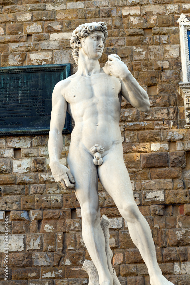 Obraz premium Der David von Michelangelo in Florenz 