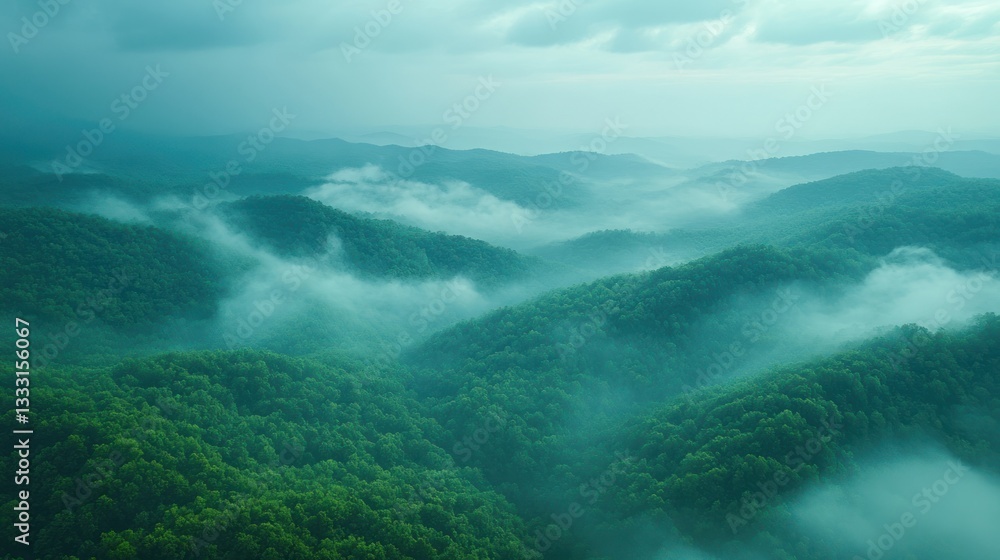 Obraz premium Misty mountain ranges covered in lush green forests