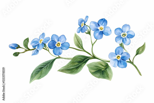 Forget-Me-Nots: Delicate Watercolor: A close-up, watercolor painting of a vibrant forget-me-not branch, showcasing clusters of tiny, sky-blue flowers and fresh green leaves.
