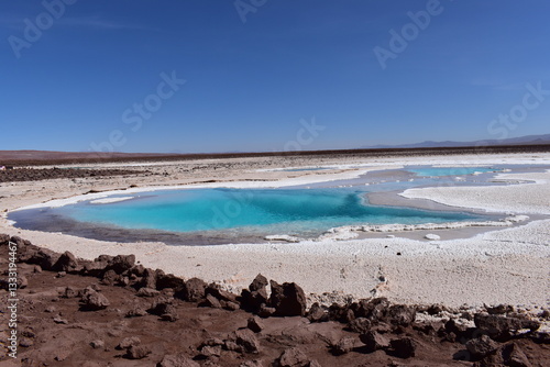 Surreal Reflections on the Atacama Salt Flats