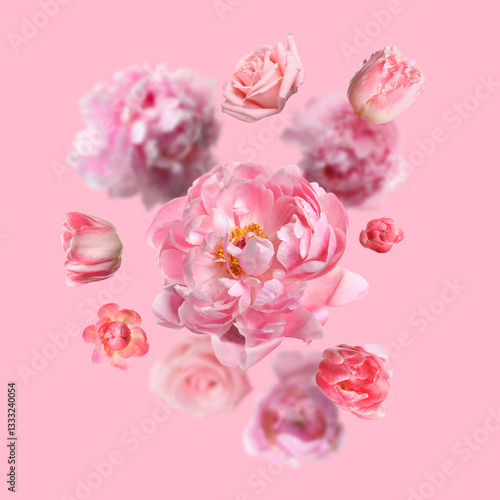 Obraz na plátně Beautiful fresh flowers falling on pink background