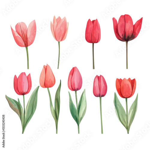 Wallpaper Mural Elegant watercolor tulip collection in various colors Torontodigital.ca