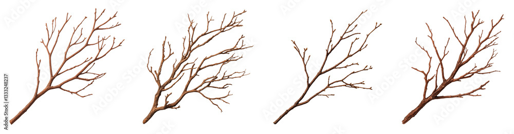 Collection of realistic dry tree branches Collection of realistic dry tree branches