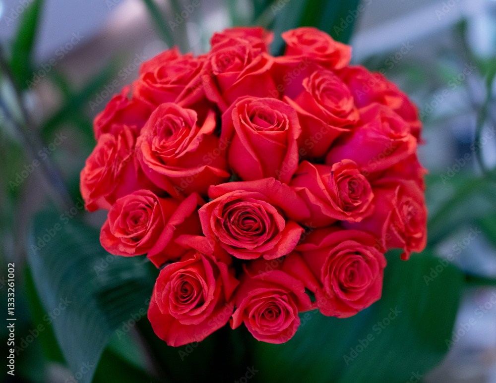 A beautiful red bouquet of roses brighten up a market with color and love in Mexico City.
