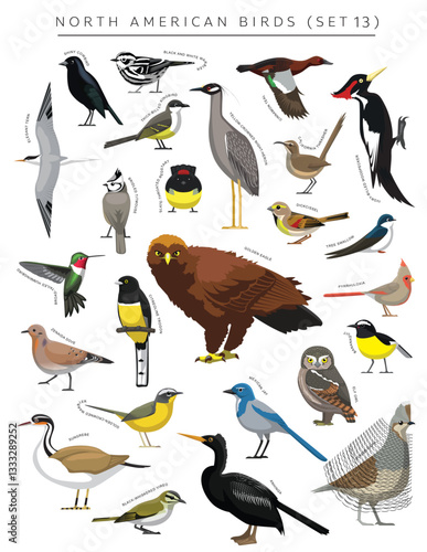 North American Birds Set Cartoon Vector Character 13