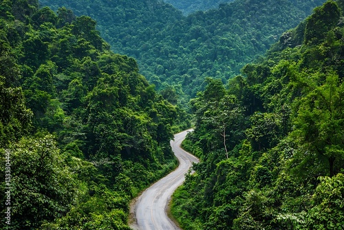 Top view a peaceful mountain road surrounded by towering green trees in a dense forest