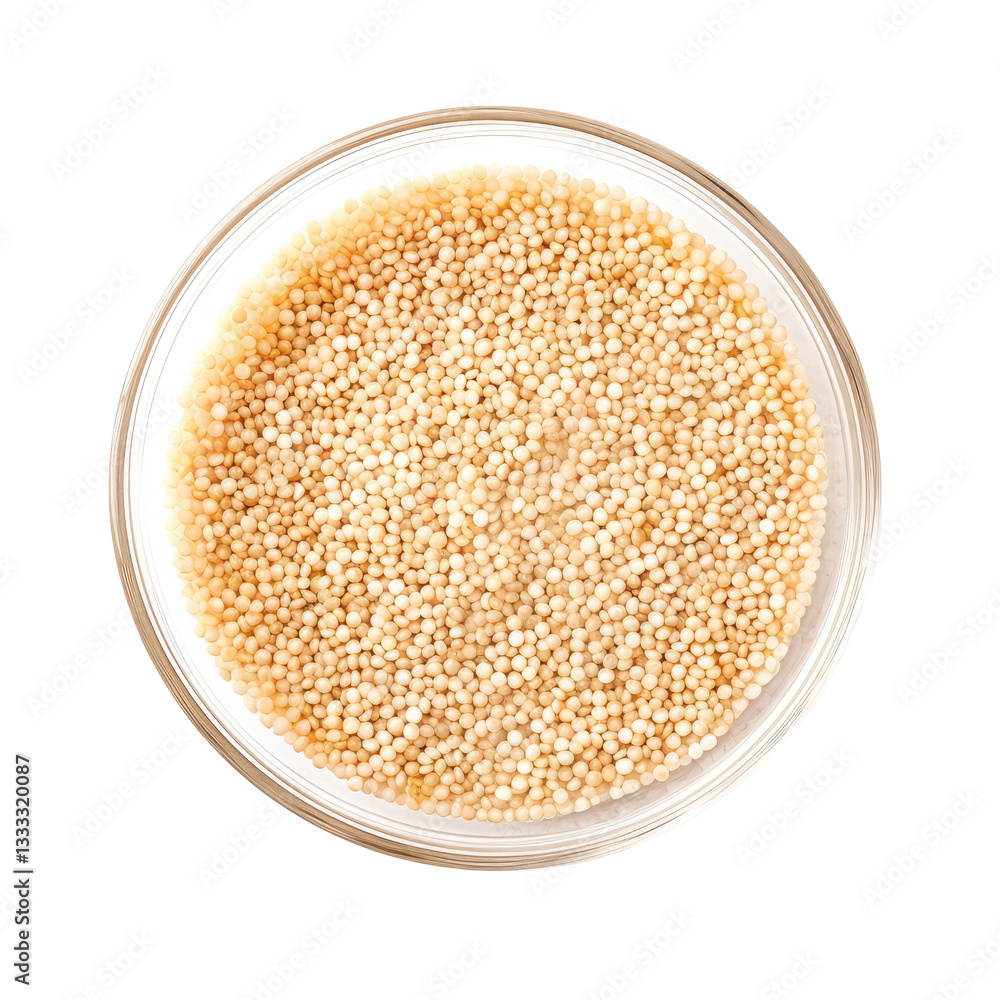 Small Transparent Glass Bowl Filled with Fresh seed Small Transparent Glass Bowl Filled with Fresh seed
