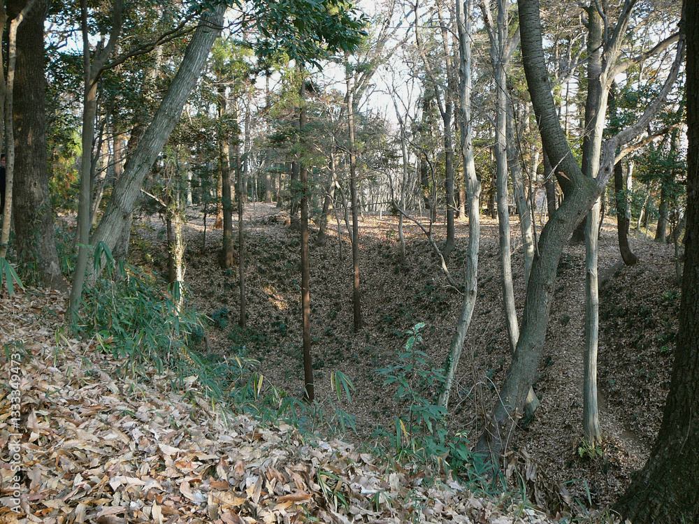 Fototapeta premium 日本：松山城跡（別名は武蔵松山城）戦国時代の山城【比企城館跡群として国指定史跡】埼玉県吉見町