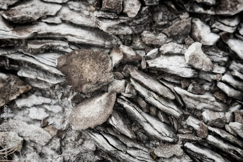 A close-up of rock layers showcases unique formations and textures, revealing an extraordinary glimpse of nature's artistry over time, resonating with the Earth's history. photo