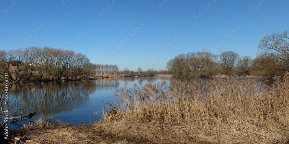 Spring walk through the forest, beautiful panorama. Spring walk through the forest, beautiful panorama.