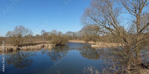 Spring walk through the forest, beautiful panorama.