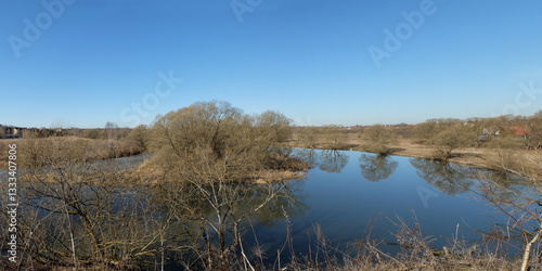 Spring walk through the forest, beautiful panorama.