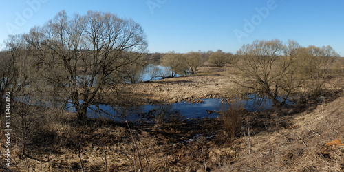 Spring walk through the forest, beautiful panorama.