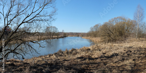 Spring walk through the forest, beautiful panorama.