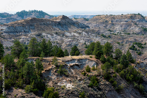 An expansive view of dramatic badlands features rugged terrain and interspersed trees, captivating the viewer with the stark beauty of this unique geological landscape over time.