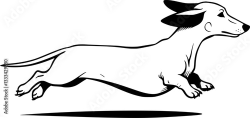 dachshund jumping, sketch silhouette - vector
