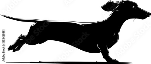dachshund jumping, sketch silhouette - vector
