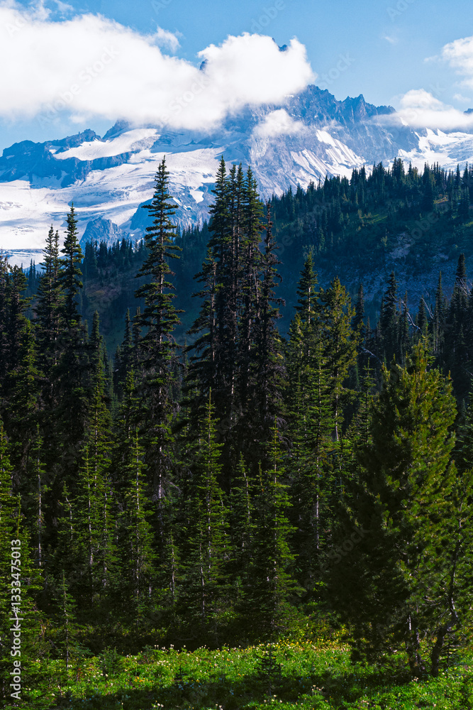 Breathtaking mountain scenery framed by towering coniferous trees, showcasing nature's majesty and the rich biodiversity of the forested landscape under a blue sky. Breathtaking mountain scenery framed by towering coniferous trees, showcasing nature's majesty and the rich biodiversity of the forested landscape under a blue sky.