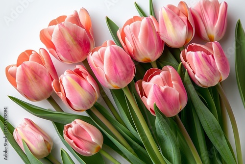 Obraz na płótnie Bouquet of pink tulips with green leaves. Scene is one of beauty and elegance, as the flowers are symbol of love and affection w salonie
