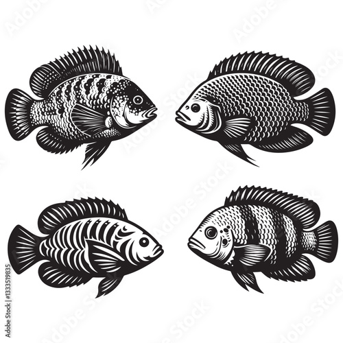 Tilapia fish vector illustration