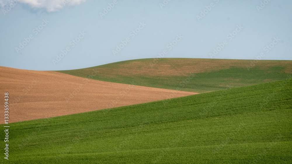 A striking landscape of rolling hills adorned with vibrant green and golden hues under soft natural light, offering a sense of peace and connection to the earth. A striking landscape of rolling hills adorned with vibrant green and golden hues under soft natural light, offering a sense of peace and connection to the earth.