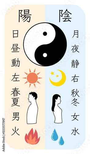 陰と陽を比較した文字と太極図のカラーイラスト（タテ）