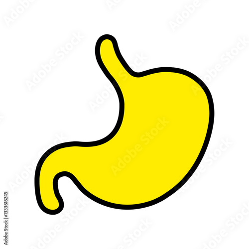 stomach