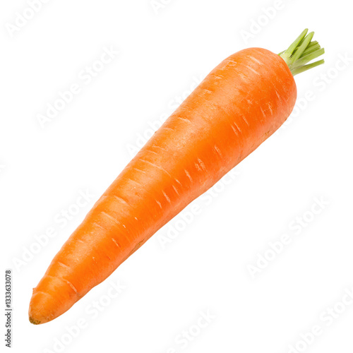 Fresh carrot with green tops on transparency background