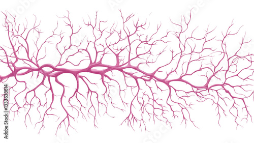 The image showcases a horizontally oriented abstract illustration. It features a network of thin, pink lines branching out from a central thicker line, resembling a vein or capillary system. The