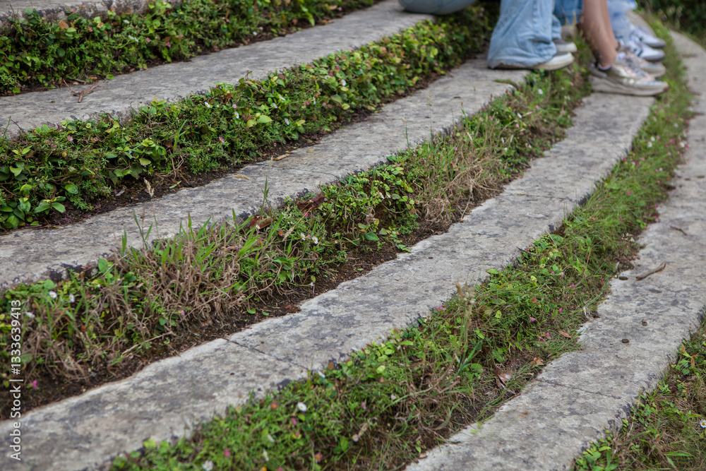Ivy covered concrete steps
