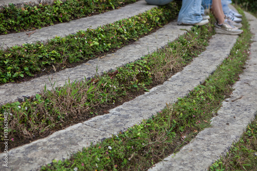 Obraz na płótnie Ivy covered concrete steps w salonie