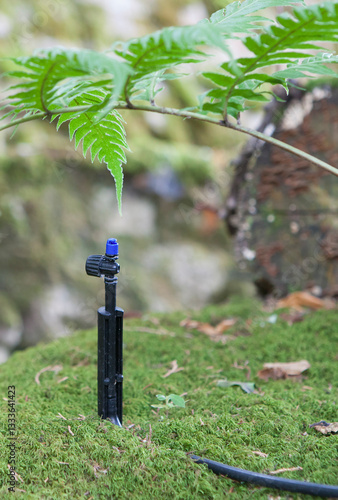 Obraz na płótnie Spike type nebulizer irrigation system at work w salonie