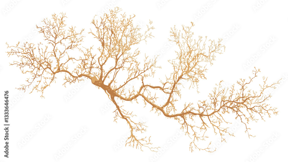 Obraz premium Close-up shot of an illustration depicting a complex, branching, golden-yellow structure against a white background. The form is organic and delicate, resembling a network of veins or branches,