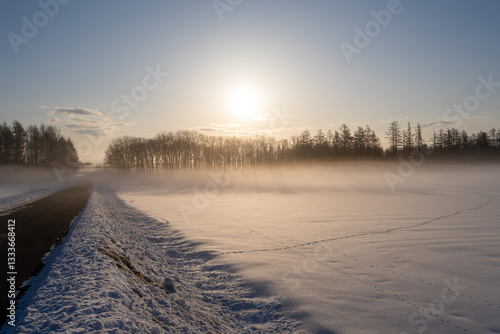 北海道　十勝　並木　カラマツ　冬　雪　霧　霧氷　朝日　朝