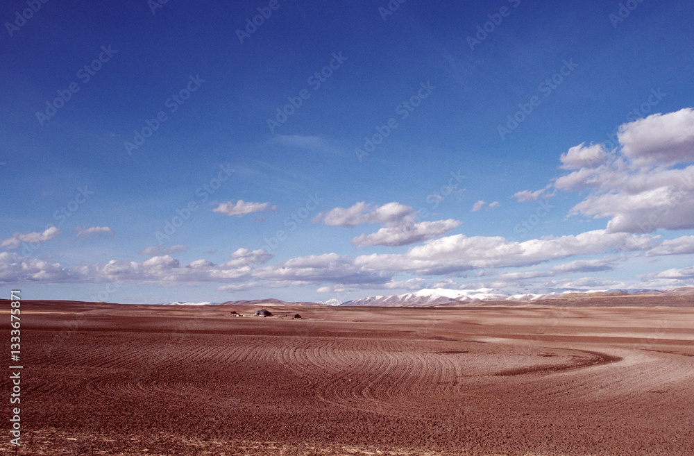 Obraz premium landscape with blue sky and clouds