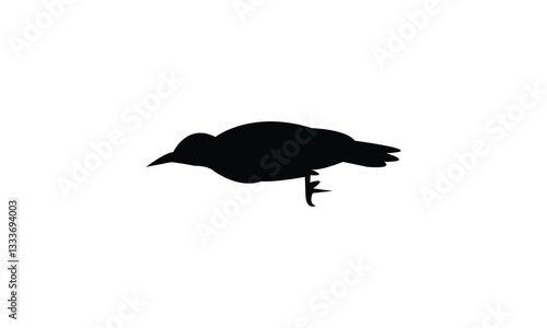 African grey woodpecker bird Silhouette Design  And Vector Illustration. 