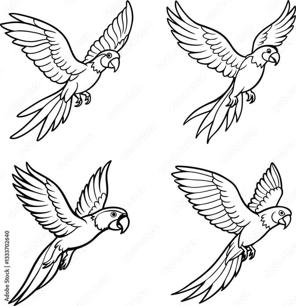 Obraz premium Parrot Line Art coloring page Detailed Bird Sketch Collection