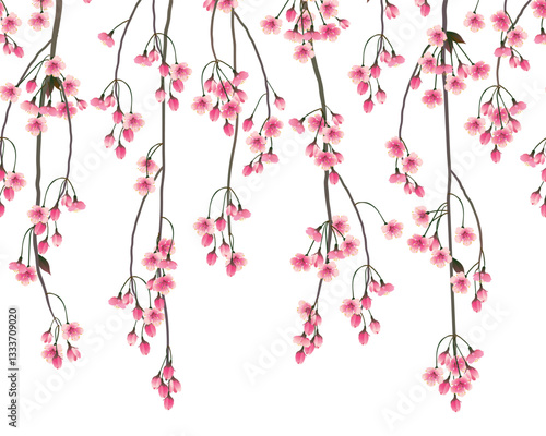 Shidare zakura blossom branches on white background. Seamless pattern with hanging sakura branches. Pink spring Japanese cherry blossoms during Hamami festival.