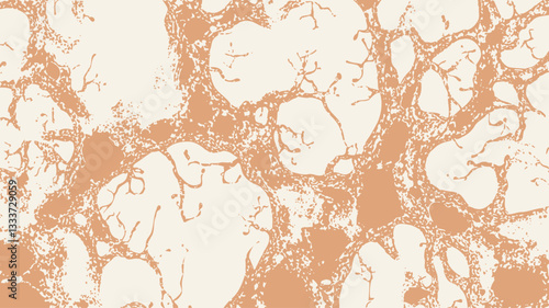 Microscopic image depicting a tissue sample.  The image shows a network of interconnected structures, primarily in shades of light orange and brown, against a white background.  The structures are