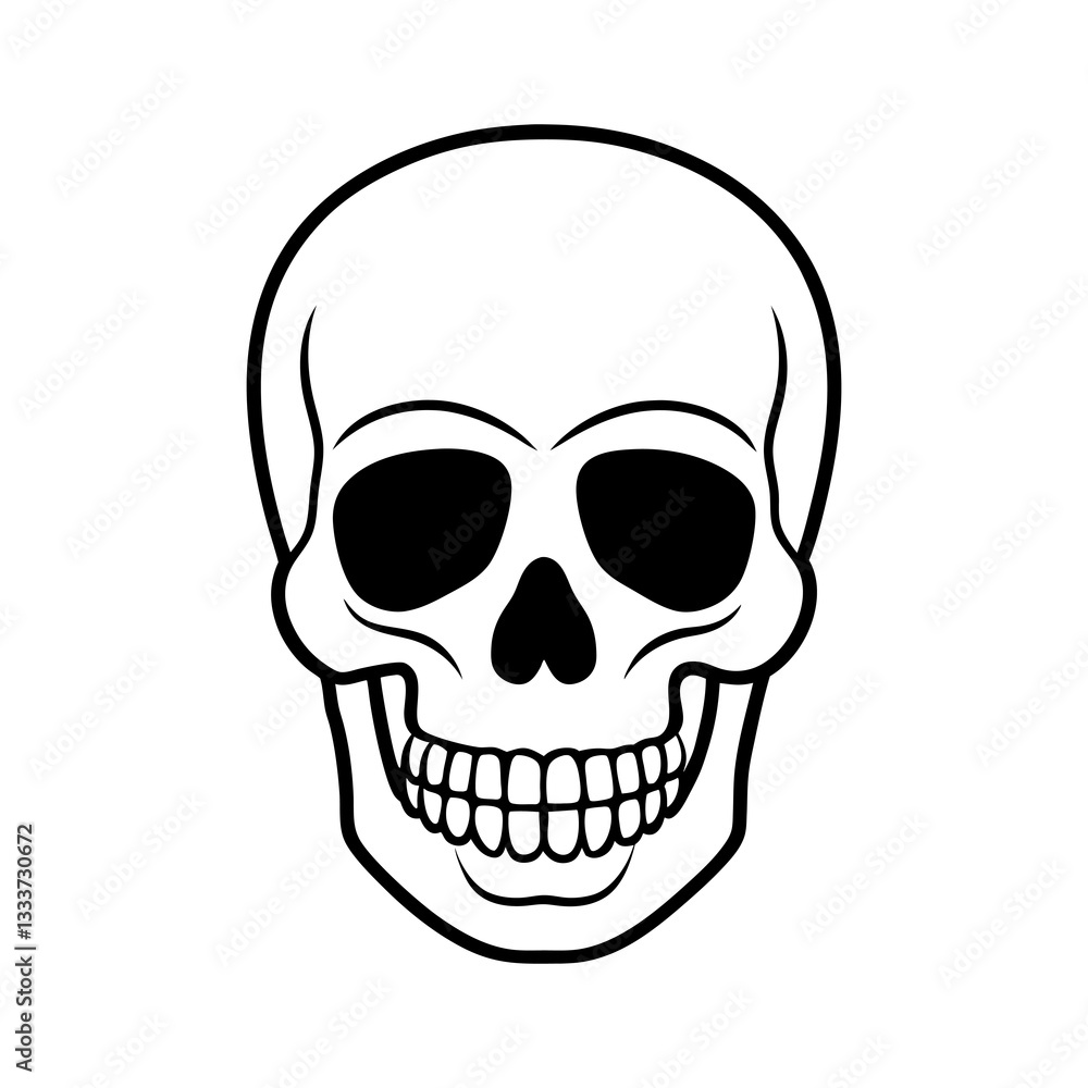 human skull isolated on white human skull isolated on white