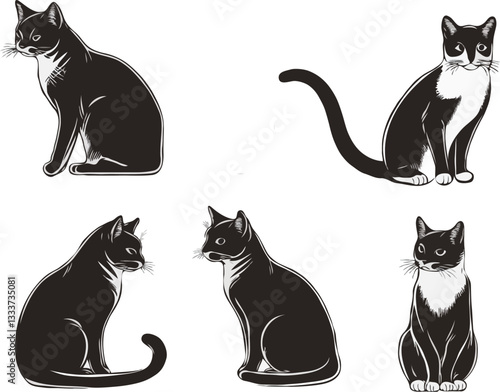Set of cats