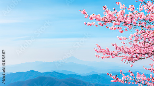 Pink Cherry Blossoms Over Misty Mountains
