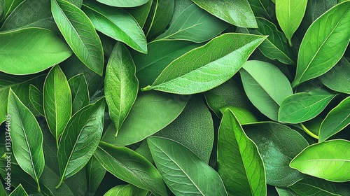 Wallpaper Mural Close up vibrant green leaves Torontodigital.ca