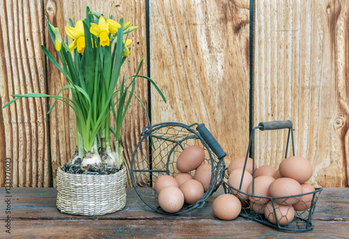 chicken eggs  in little metal baskets on a table with a  daffodils  flowers p...