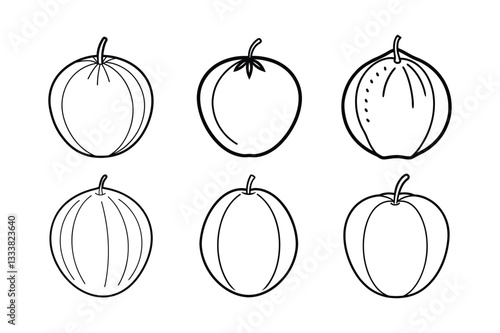 Elephant Apple – Dillenia indica line art vector illustration
