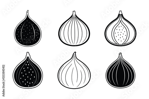 Fig – Ficus carica line art vector illustration