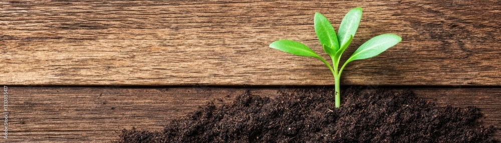 Naklejka premium Sprout in Soil on Wood