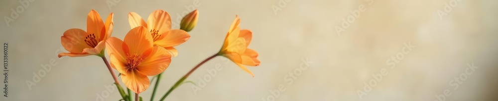 Delicate orange blooms in a slender glass vase, delicate, glass vase Delicate orange blooms in a slender glass vase, delicate, glass vase