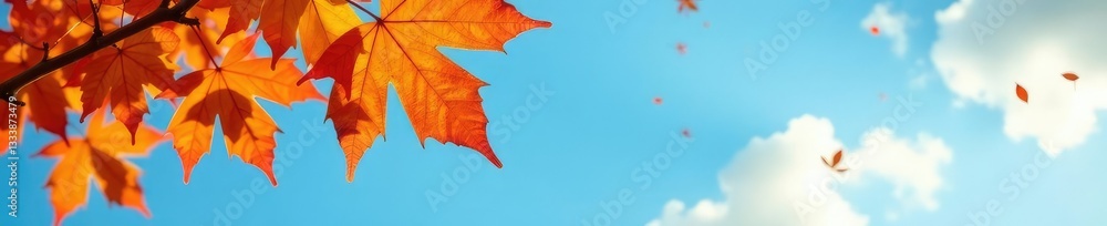 Warm tones of orange and yellow fallen leaves against a blue sky, autumn leaves, branches Warm tones of orange and yellow fallen leaves against a blue sky, autumn leaves, branches