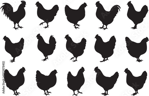 Silhouette of roster, cock, hen icon. Hen icon vector. Hen, chicken silhouette set collection. Organic farming, agriculture, poultry,  meat and eggs products. Domestic animals hen vector illustration.